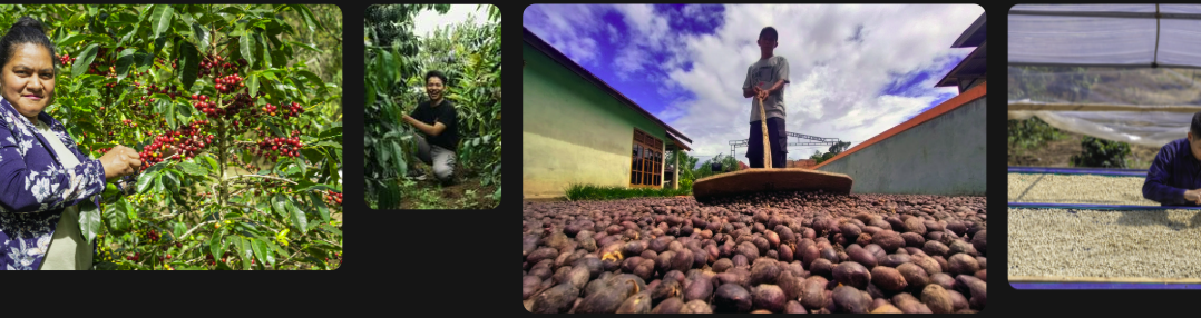 Coffee farmers and processing mosaic